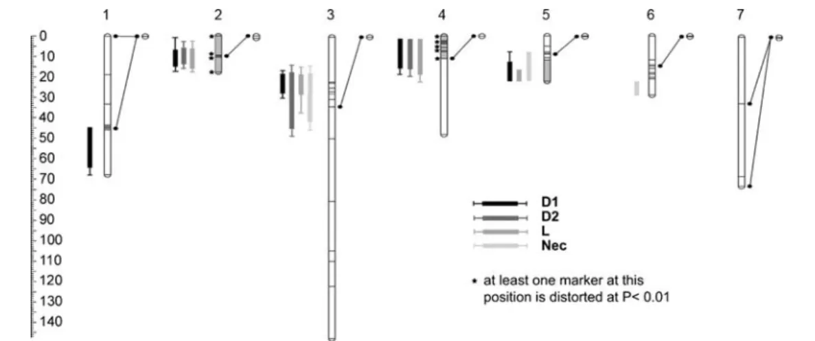 Fig. 4 Linkage map of P. axillaris axillaris N (left) based on the BC 1  population (P