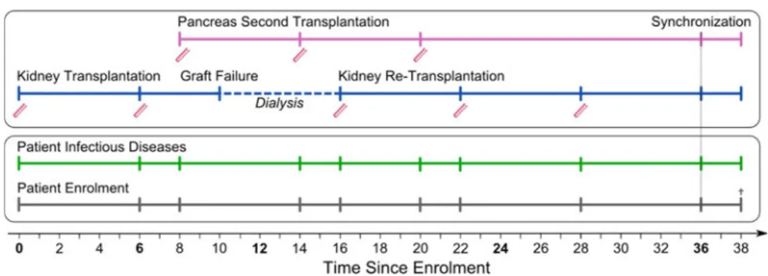 Fig. 1 Organization of the Swiss Transplant Cohort Study patient-case system based on a hypothetical complex transplantation scenario