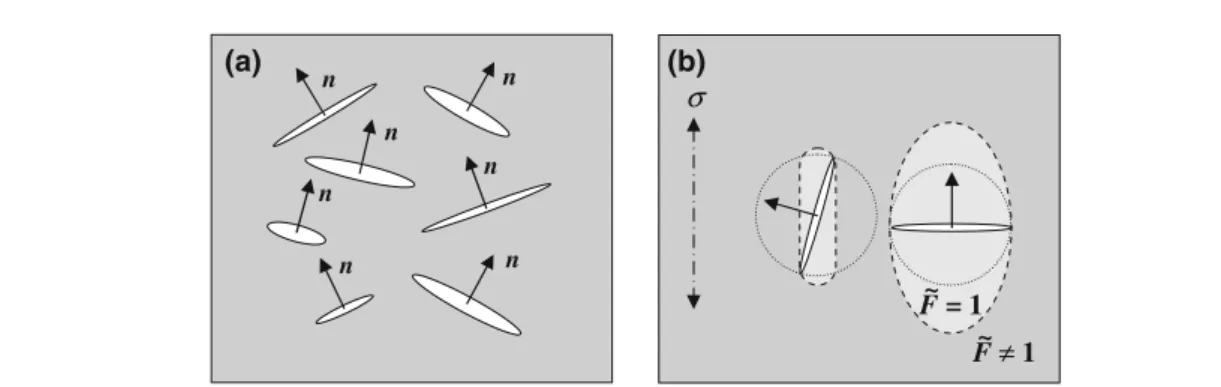 Fig. 1 a Illustration of a random arrangement of flat microcracks with unit normals n