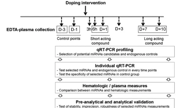 Fig. 2 Suggested strategy for investigating use of circulating miRNA-based blood biomarkers to detect abuse of doping compounds