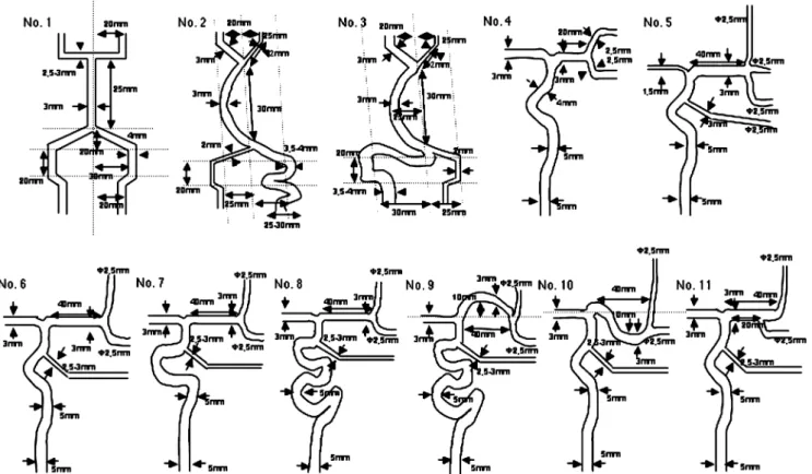 Fig. 1 Cerebral vascular PVA models (three vertebrobasilar artery and eight anterior circulation)