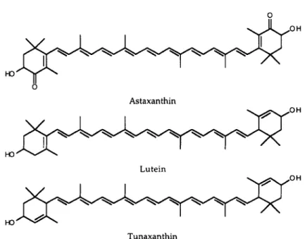 FIG. 2. The chemical structures of astaxanthin, lutein and tunaxanthin (after Matsuno, 1989).