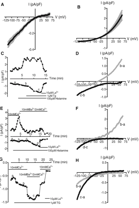 Fig. 2 Currents activated by TG or histamine in the presence of 10 mM Ca 2+ . a, b Current – voltage relationships obtained at the maximal stimulation after addition of 1 µM TG (a; n=12) or 100 µM histamine (b; n=13) in the presence of 10 mM Ca 2+ 