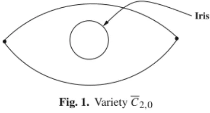 Fig. 1. Variety C 2 , 0
