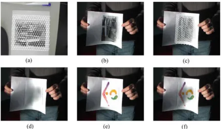 Figure 12. (a) The reference image of the target surface with the model mesh overlaid