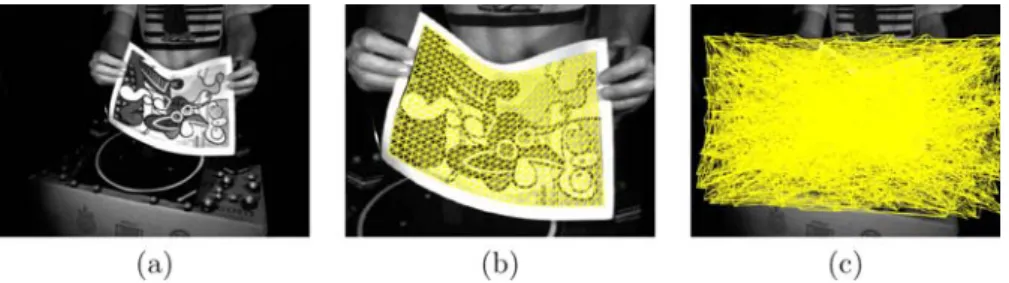 Figure 5. Image and meshes used for our synthetic experiments. (a) Original image. (b) Reference mesh computed using hand-picked correspon- correspon-dences