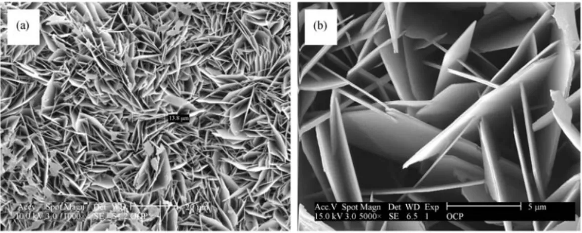 Fig. 1 Scanning electron micrographs of an octacalcium-phosphate coating at (a) low and (b) high magniﬁcations