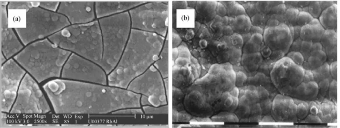 Fig. 2 Scanning electron micrographs of (a) an amorphous and (b) a nano-crystalline layer of carbonated apatite
