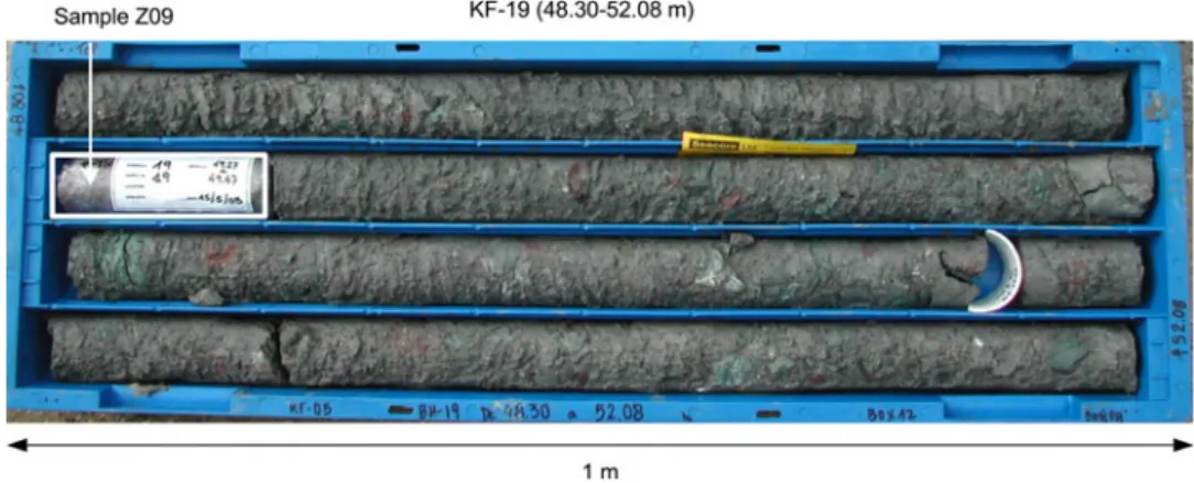 Figure 2 shows the location of the boreholes and of the samples selected for the test programme
