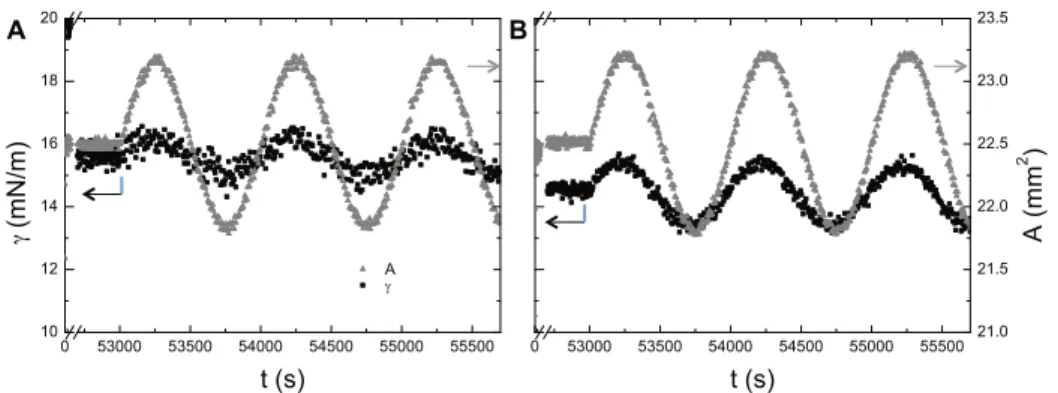Fig. 10. Interfacial tension during area A sinusoidal oscillation at a frequency of 0.001 Hz and a strain of 2.7% at the water-oil (A) and water-air (B) interface.