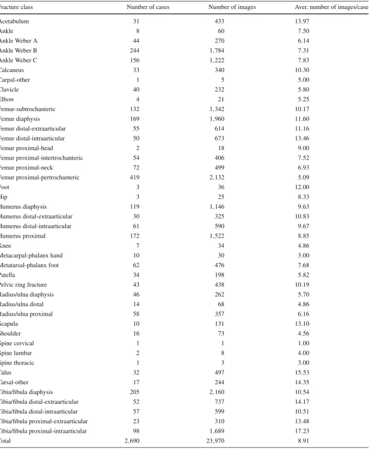 Table 1 Number of cases and images of each fracture class