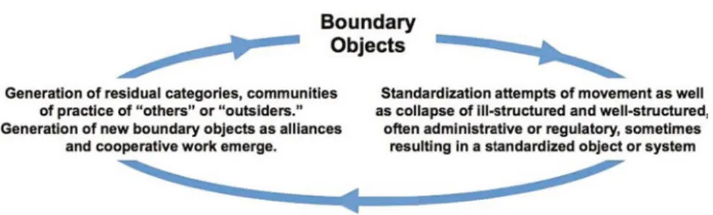 Fig. 5. Boundary objects, standards and residual categories.