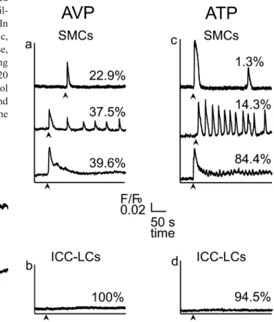 Table 1 Percentage of cells (interstitial cells of Cajal [ICC]-like cell [ICC-LCs] versus smooth muscle cells [SMC]) responding to various drugs known to act as SMC agonists in the vasculature
