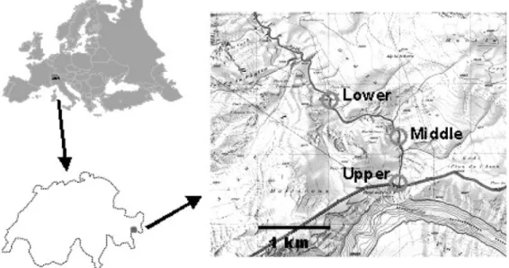 Figure 1. Map showing Europe, Switzerland and the location of the three study sites on the River Spöl in the Swiss National Park down- down-stream of Punt dal Gall dam that forms Livigno reservoir in Italy.