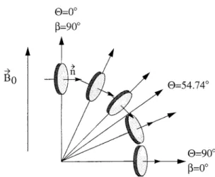 Figure 1. Energetically most favorable orientation of the bicelle di- di-rector with respect to the rotor axis at different angles  between the rotor axis and B 0 .