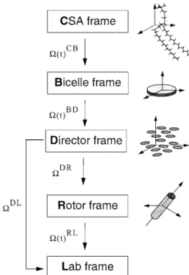 Figure 2. Summary of coordinate frames employed to calculate the 31 P spectra.