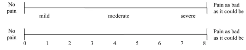 Fig. 2 Examples of Graphic Rating Scale (GRS)
