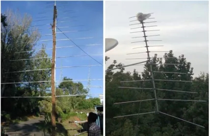 Fig. 3 Logarithmic periodic antennas of e-CALLISTO. Left: at Ootacamund (Ooty) in Tamil Nadu, India;