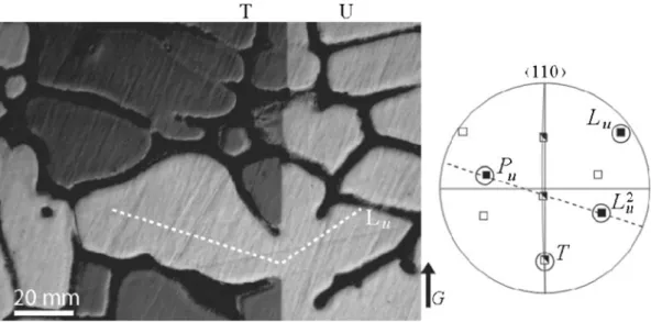 Figure 4 shows the 2D sections of the reconstructed microstructure. They were selected by means of the visualization software Avizo 6.0