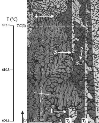 Figure 7 illustrates, if not explains, the growth advantage of a twinned h110i dendrite over a regular h100i one