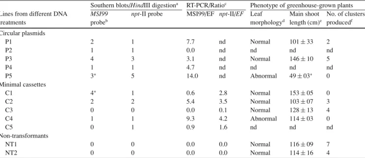 Table 2 Molecular analyses and phenotypic observation on transgenic and non-transgenic lines