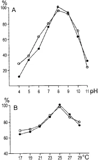 Figure 4. Specific processing of *iSS, a truncated form of pSS lacking 24 N-terminal amino acids