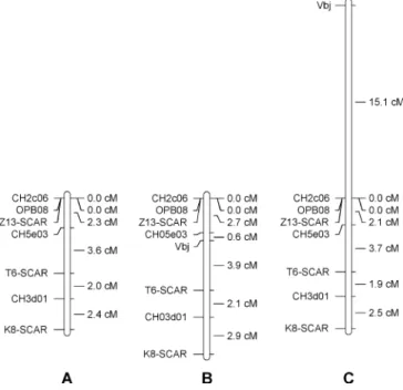 Fig. 4 The SSR analysis of the pedigree of A722-7. In the  ini-tial crosses, the two possible scab-resistant crab apples are shown