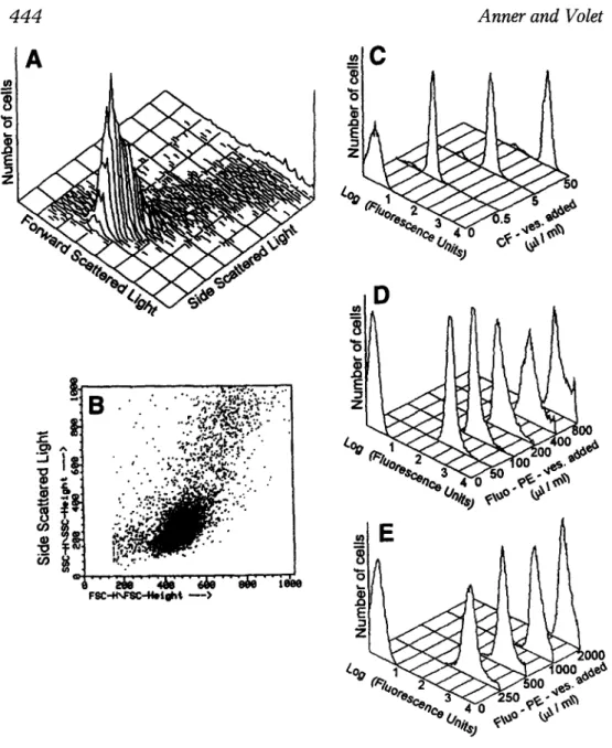 Fig. 1. Increase of cellular fluorescence with increasing vesicle/cell  ratio. 