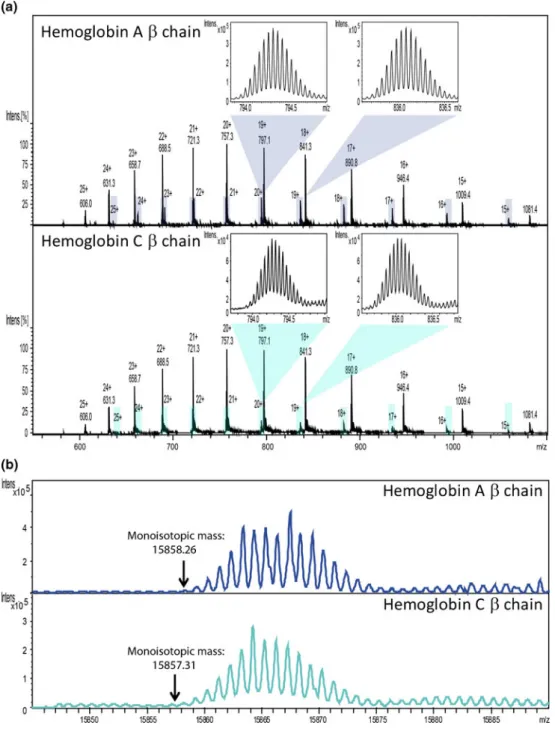 Figure 3. Hemoglobin A and C, extracted from whole blood and analyzed with a high resolution mass spectrometer (qTOF maXis, Bruker Daltonics, Bremen, Germany)