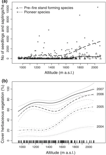 Fig. 2 a Number of seedlings and saplings (0–500 cm) of pre-fire stand forming and pioneer species, respectively, along the altitudinal gradient in 2007, 4 years after the stand replacing wildfire