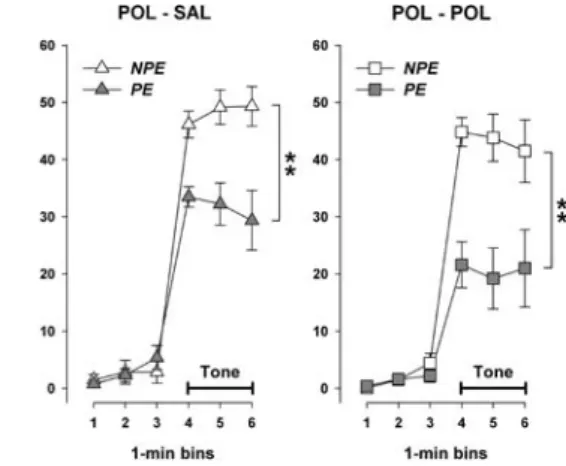 Fig. 2 The e V ects of the prenatal and postnatal manipulations on the expression of LI during the test of conditioned tone-freezing in pre-adolescence
