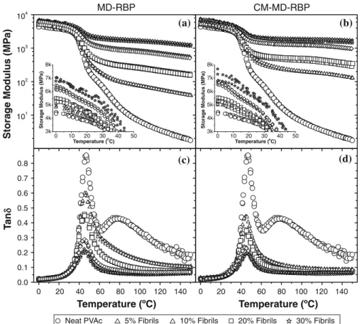 Fig. 3 Dynamic heating scans showing the storage modulus (top graphs) and tan d (bottom graphs) for PVAc composites prepared with the MD-RBP and CM-MD-RBP cellulose