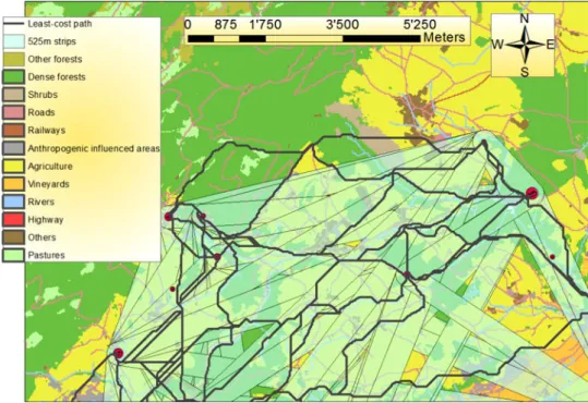 Fig. 3 A part (northern part) of the studied area with pairwise least-cost paths (black lines) of the best model and the pairwise straight 525-m wide strips of the best model (light green stripes).