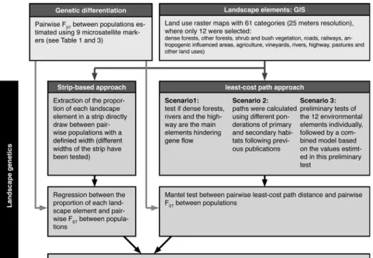 Fig. 2 Summary of the different landscape genetic approaches used in this study: