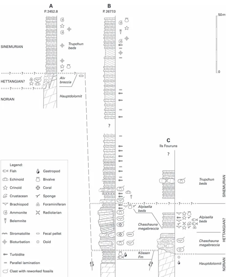 Fig. 3.  Stratigraphic sections of the Upper Triassic and Lower Jurassic sediments along the steep crest between Val Trupchun and Val Chaschauna (Ortler  nappe, Austroalpine)