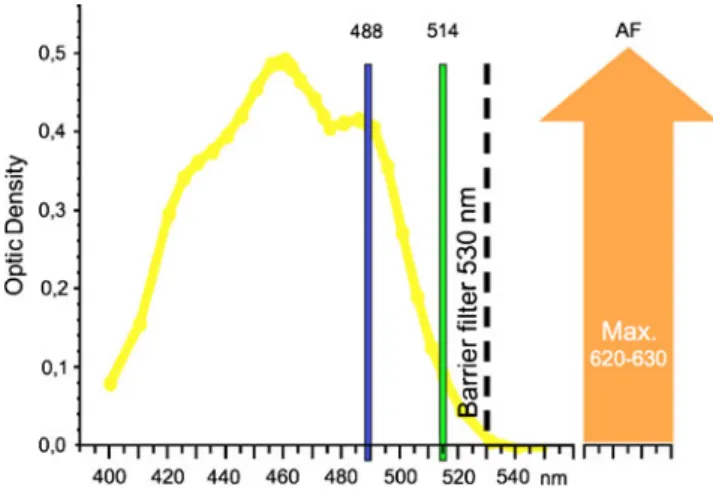 Fig. 1 Absorbance spectrum of macular pigment (yellow) with a maximum absorbance at 460 nm