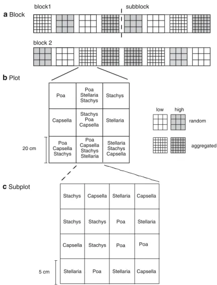 Fig. 1 The experimental design. a Two blocks each containing four plots at either high or low density and random or aggregated pattern, twice replicated per treatment and species mixtures n=4.