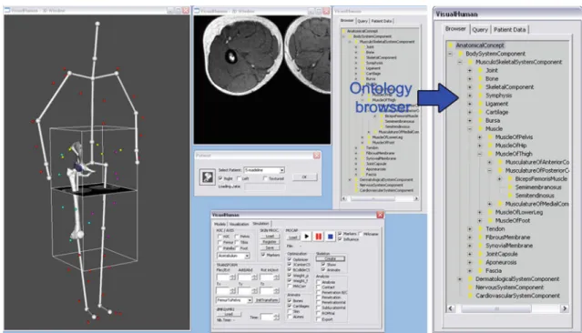 Fig. 2 Screenshot of the software’s graphical user interface. In the middle, a panel allows for the selection of the patient to be analyzed and for the loading of its corresponding data