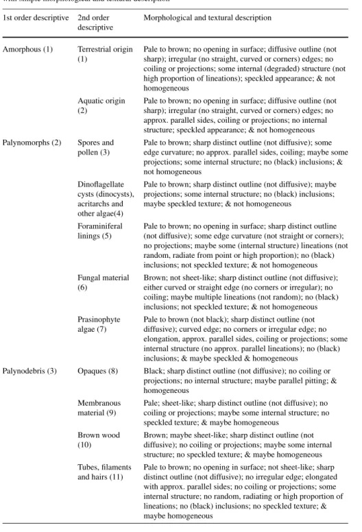 Table 1 Adapted palynofacies classification scheme, including hierarchic descriptives (1st and 2nd order) with simple morphological and textural description