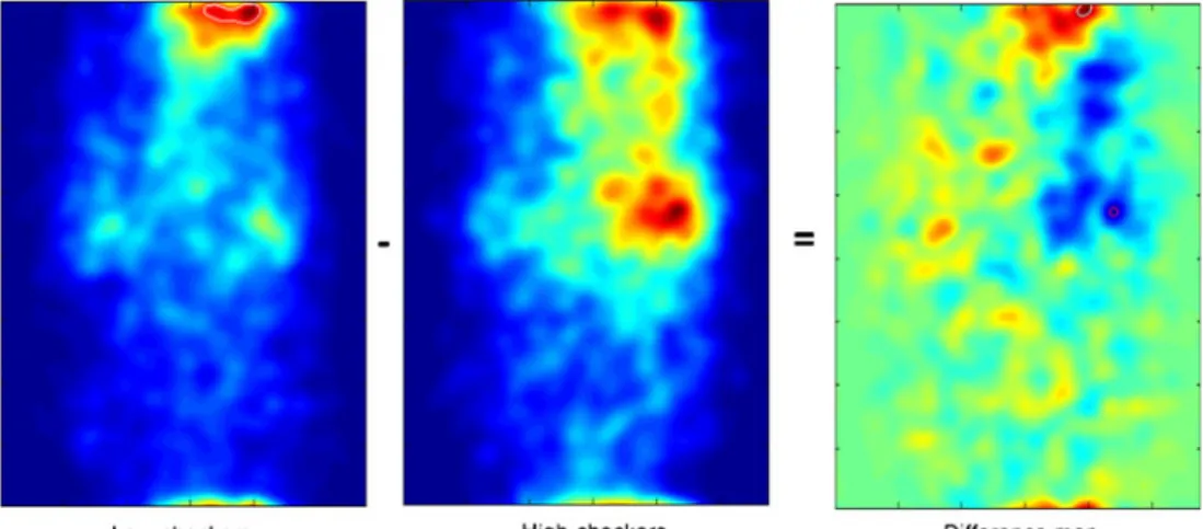 Fig. 14 Statistical fixation maps for low- versus high-checkers during the third period in the incorrect-probe condition