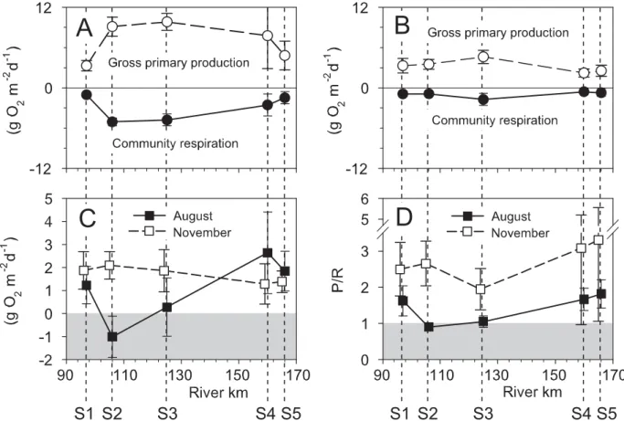 Figure 5. Periphyton gross primary production and community respiration (A) in August and (B) November