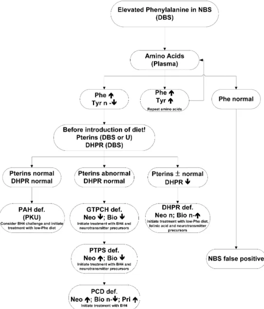 Fig. 1 Diagnostic algorithm following abnormal newborn screening (NBS) for PKU. Every positive test for PKU needs to be confirmed by a quantitative analysis of phenylalaine (Phe) and tyrosine (Tyr) in plasma