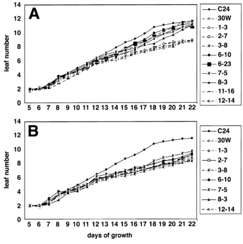 Table 4 Mapping analysis of the mutations in the selected rlp lines