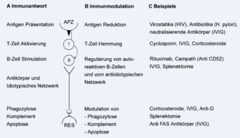 Abb. 1  8   Mechanismen und Beispiele von verschiedenen Immunomodulatoren