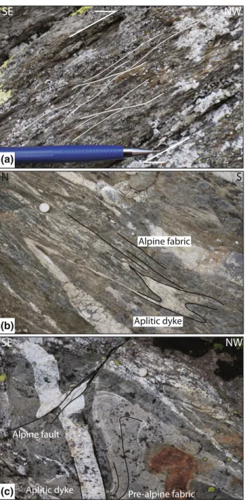 Fig. 13 Gradient in Alpine deformation within the Mont Blanc shear zone. a Strongly sheared granite close to the basement-cover contact at Col de Balme [563843/097237]