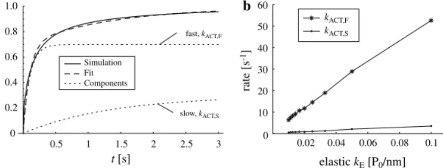 Fig. 6 Simulation of force development of a contractile (actomyosin) model connected to a linear elastic spring in series, as depicted in Fig.