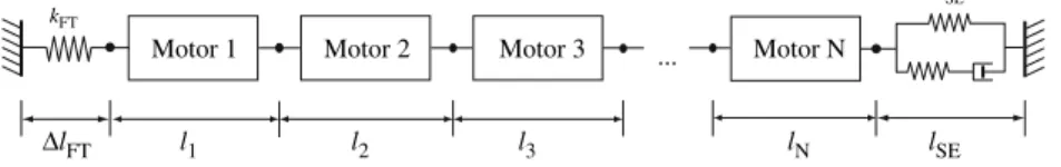 Fig. 1 Schematic representation of a linear chain of N biological motor units connected to the ends via a general viscoelastic element (with elasticity k SE , representative for both ends) and in series with a force transducer element with spring constant 