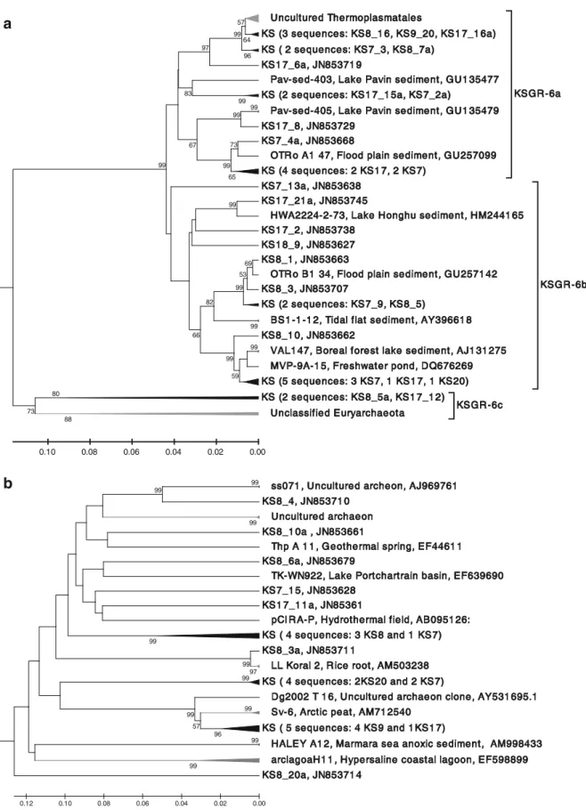 Figure 5 Partial trees showing details within collapsed branches in the phylogenetic tree shown in Fig