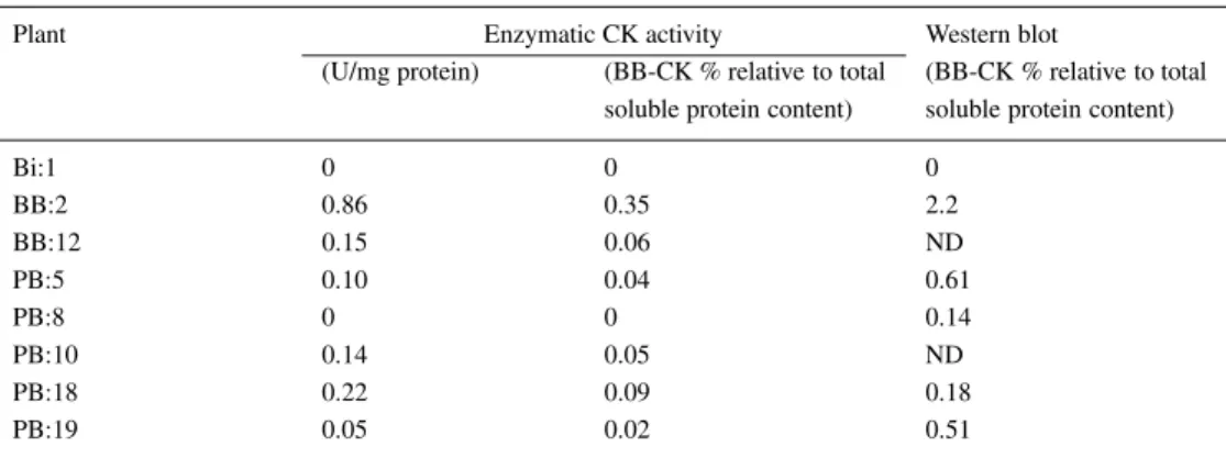 Table 1. Enzymatic CK activity and Bb-CK content in primary BB-CK-expressing transgenic plants (T 0 )