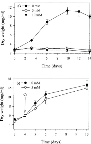 Figure 5. Effect of creatine on the growth of tobacco suspension cultures expressing BB-CK (BB:2)